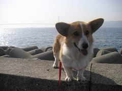 Resize of PICT1631_thumb.jpg